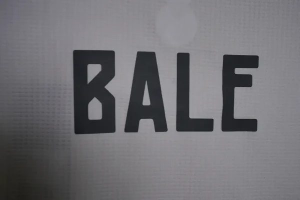 Real Madrid 2016-17 Home Gareth Bale Long Sleeve Jersey - Image 3