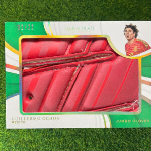 2018-19 Guillermo Ochoa Jumbo Gloves /22 Game Used Immaculate Mexico