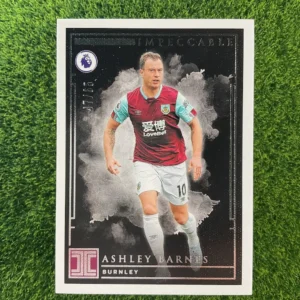 2019-20 Panini Impeccable Ashley Barnes Silver 07/08