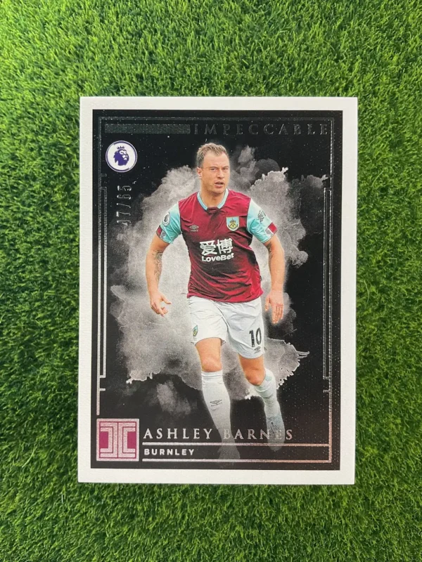 2019-20 Panini Impeccable Ashley Barnes Silver 07/08
