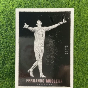2016-17 Panini Noir Fernando Muslera 58/75
