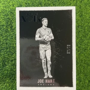 2016-17 Panini Noir Joe Hart 57/75