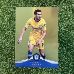 2018-19 Panini Treble Pedro Gold 3/25