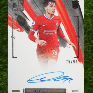 2020-21 Panini Impeccable Neco Williams RC Auto 75/99