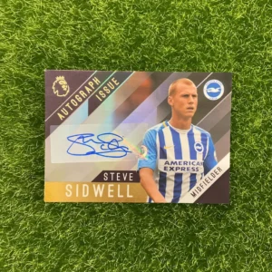 2017-18 Topps Premier League Gold Steve Sidwell Auto