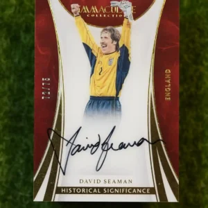 2017 Panini Immaculate Collection David Seaman Historical Significance Auto 9/10