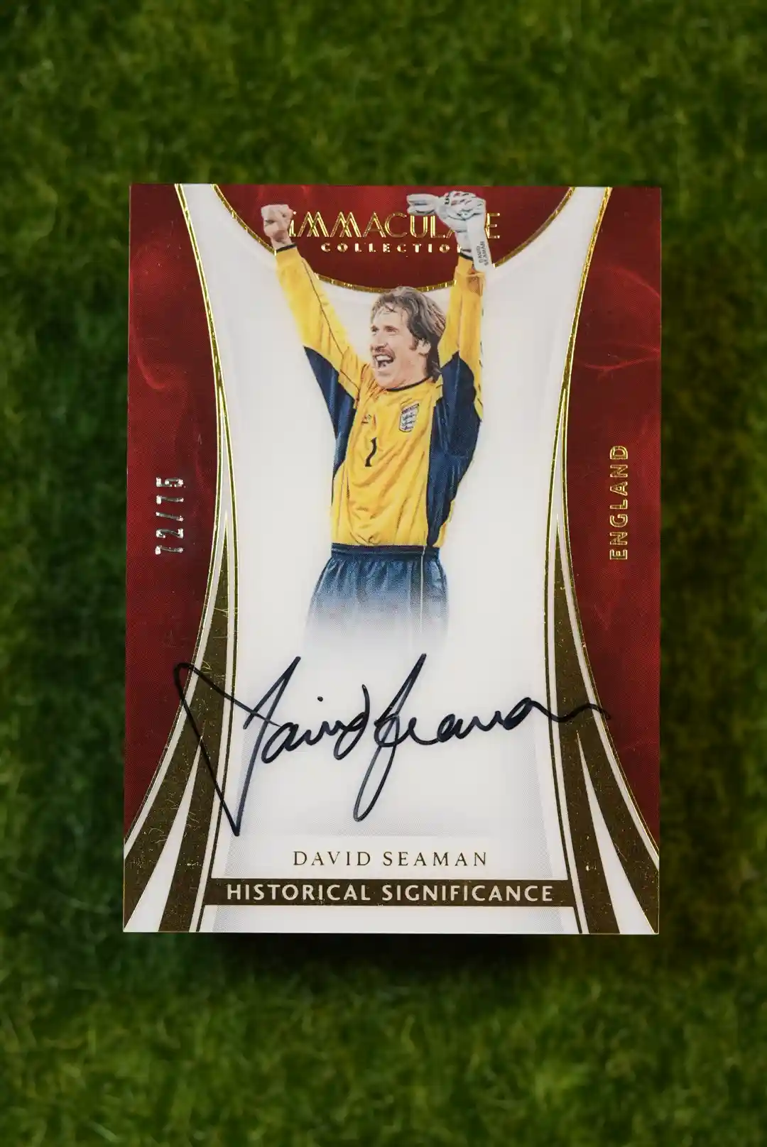 2017 Panini Immaculate Collection David Seaman Historical Significance Auto 9/10
