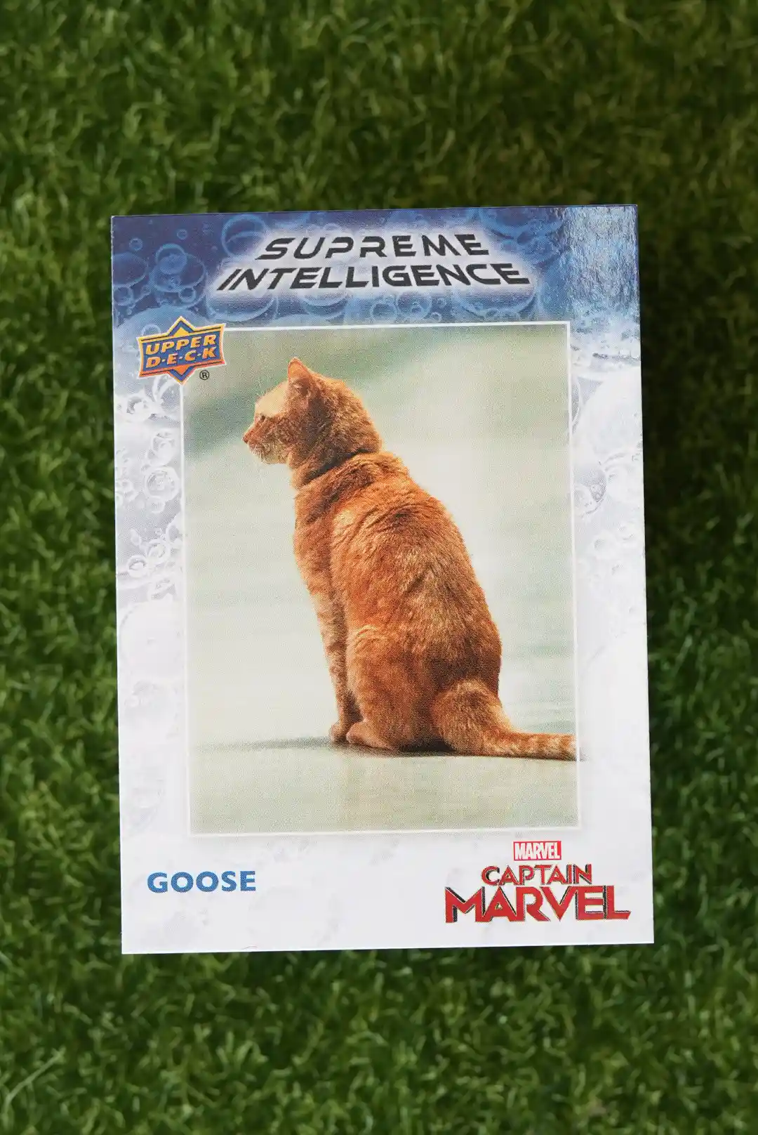 2020 Upper Deck Captain Marvel Goose Supreme Intelligence SI-10