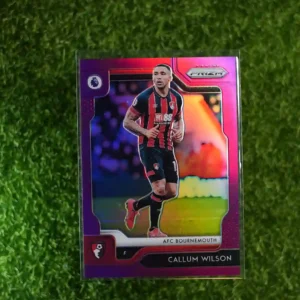 2019-20 Prizm Callum Wilson Purple Prizm 70/99