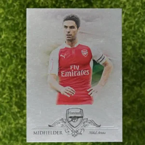 2019 arteta futera  /21