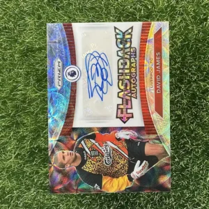 2022-23 Panini Liverpool FC David James Prizm Flashback Autographs FA-DJ Auto